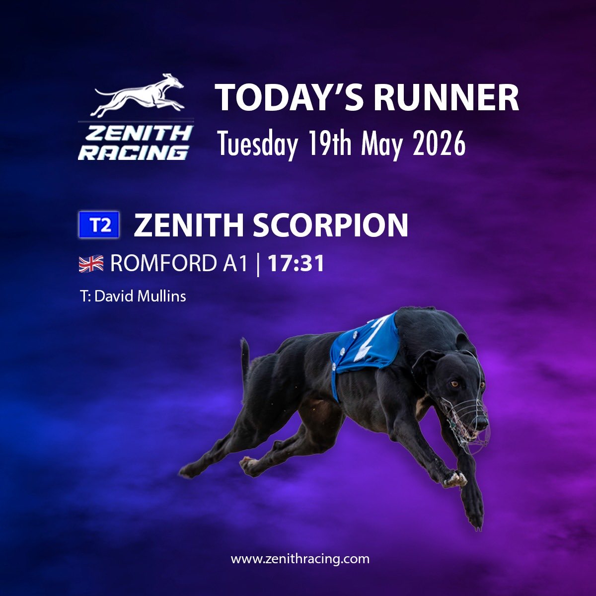 Zenith Racing Stratus Racing Zenith Racing UK 🇬🇧 runner for Tuesday 19th May Zenith Scorpion 🦂 ...