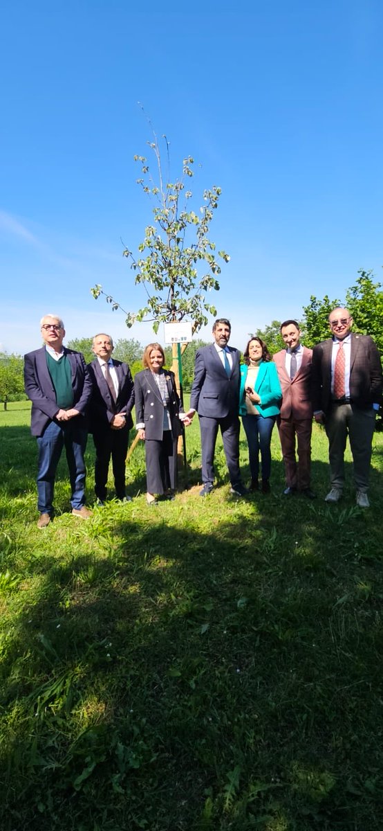FabriAnsaloni's tweet photo. Service di donazione al Comune di Bologna nel giardino Paul Harris di una pianta di Tiglio in memoria di Annasara Corticelli. #rotary #rotarybolognacarducci #rotarybolognavalledelsavena #rotarybolognaest #rotarybolognanord #rotarybolognagalvani https://t.co/aDNcD43N8P