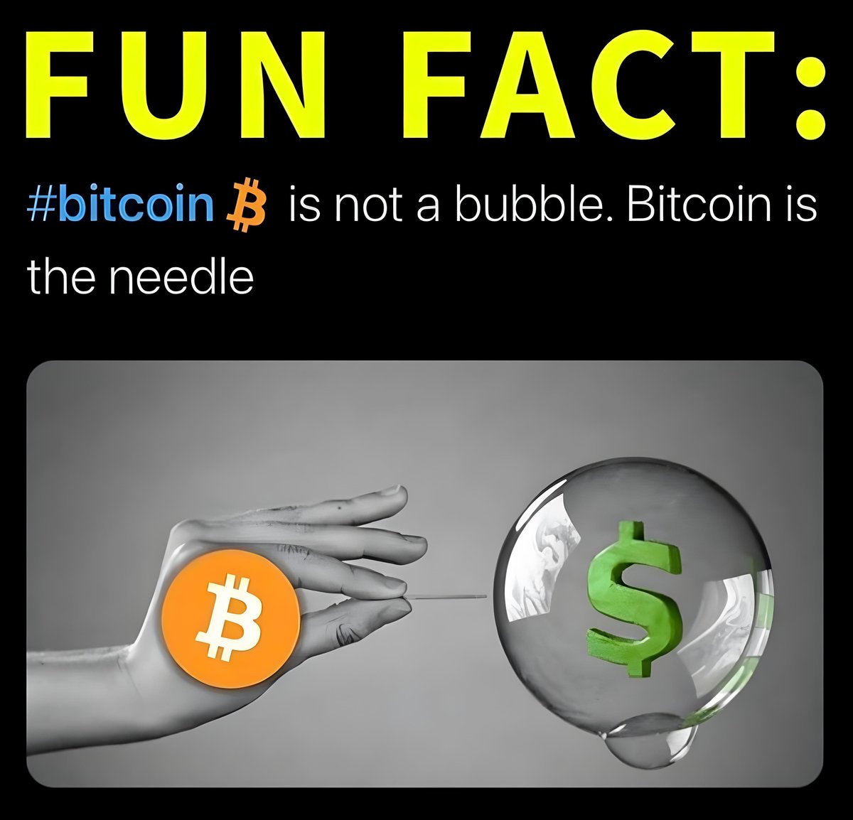 BitcoinSapiens's tweet photo. Bitcoin is not a bubble. Bitcoin is the needle. https://t.co/GPo2AQe9oe