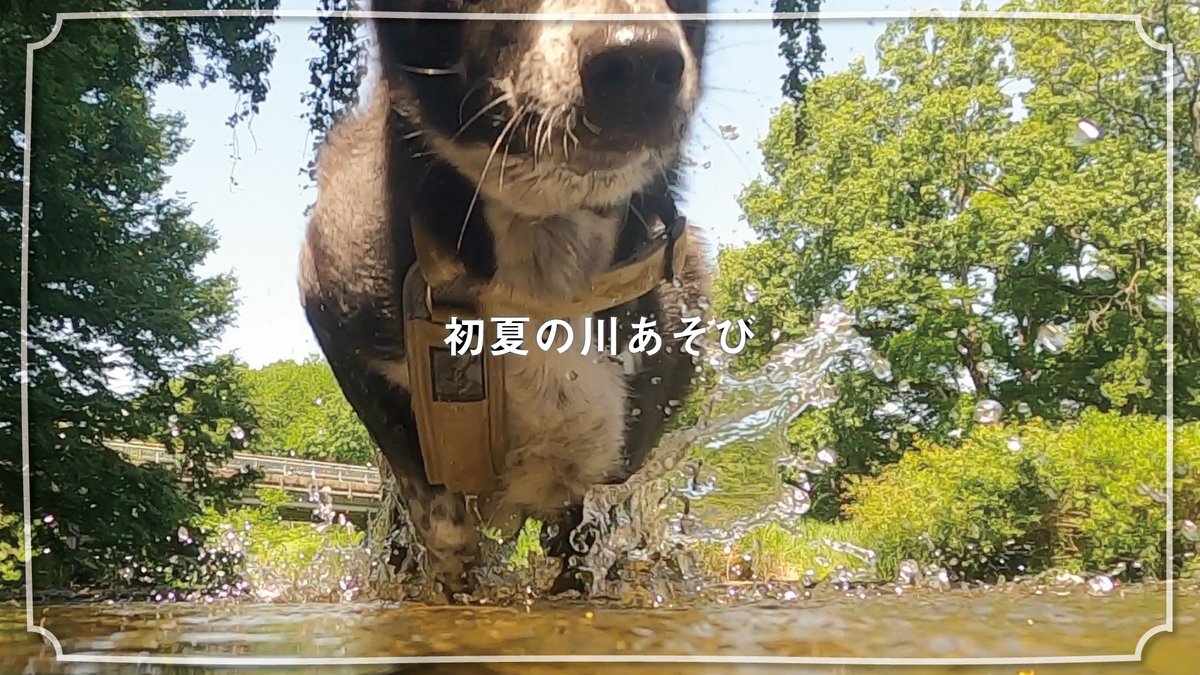 abenonakaniwa's tweet photo. 冷たい、楽しい、気持ちいい。
https://t.co/luEgmk9lbE https://t.co/j7cPc8v6QJ