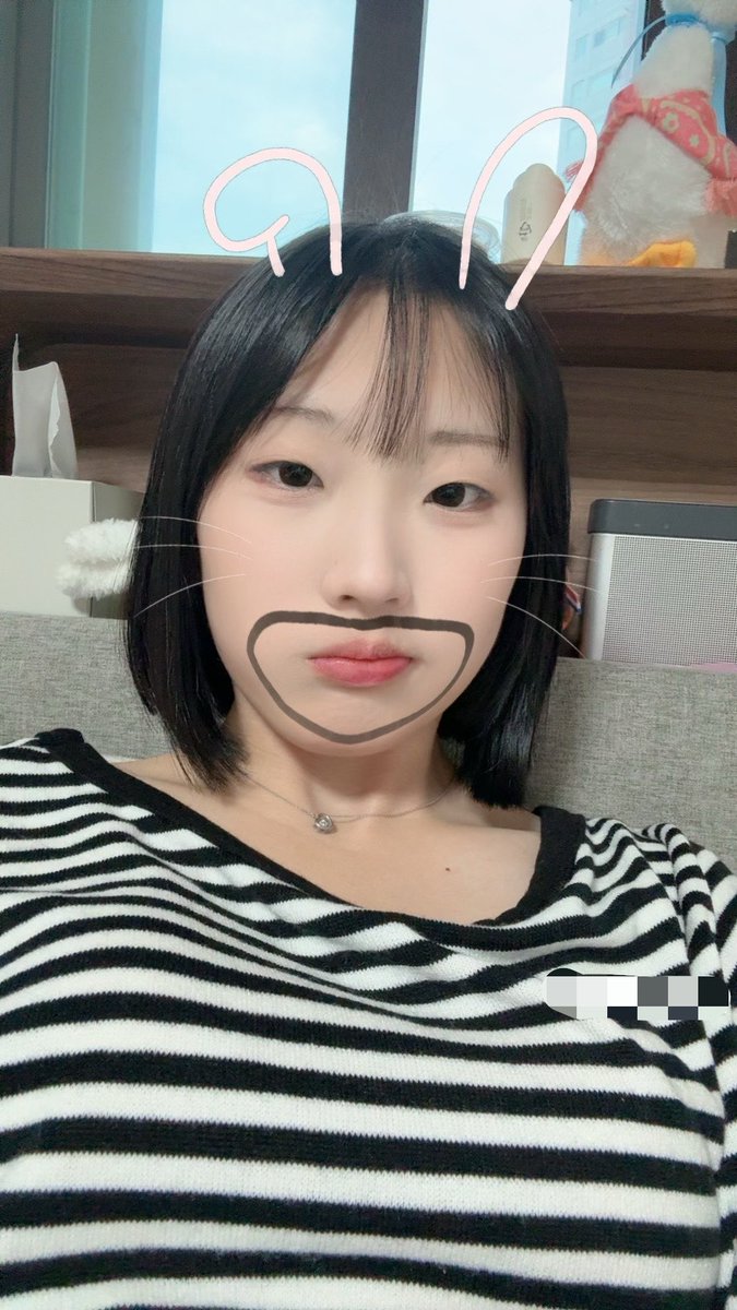 아연❤︎ tweet media