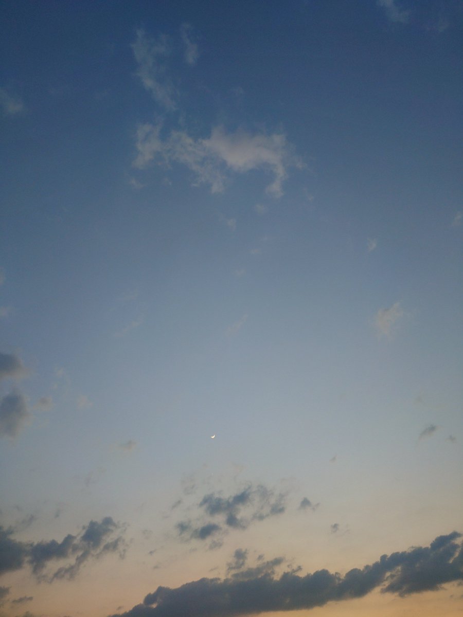 あるる tweet media