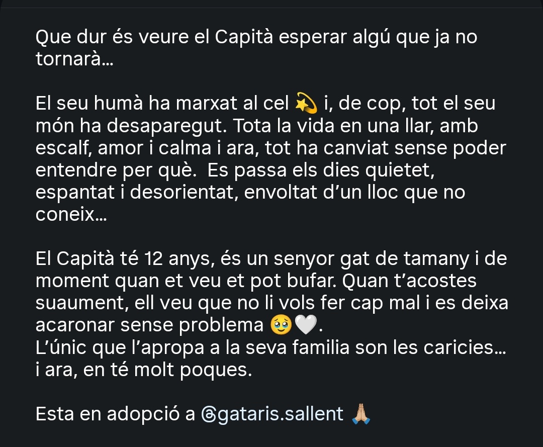 Sara Serrano tweet media