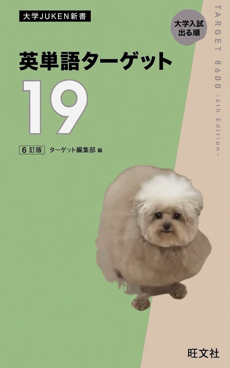 強欲のポテンシャ浪 tweet media