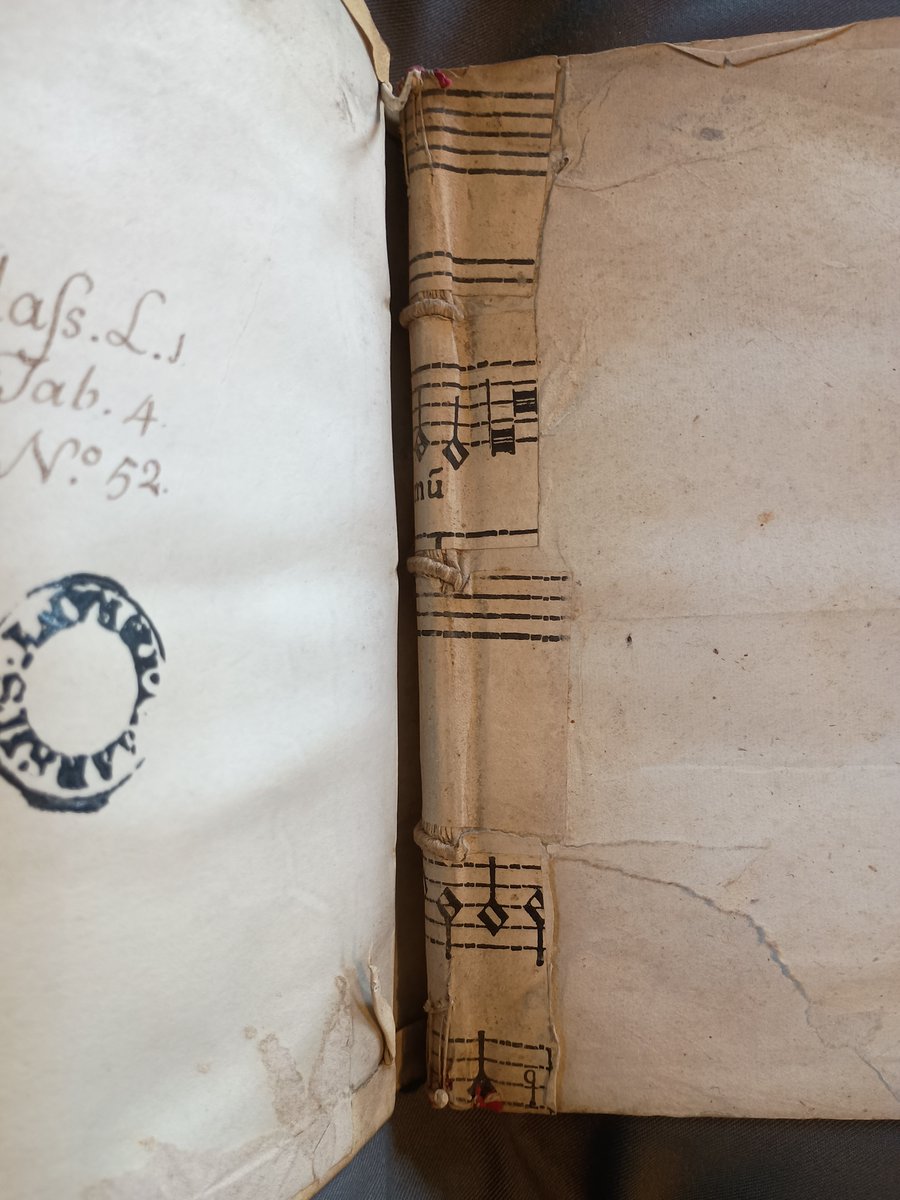 MarshsLibrary tweet picture