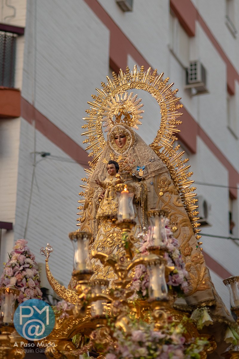 apasomuda's tweet photo. .@DNombreAlcala Galerรญa fotogrรกfica de la Salida Procesional de la Virgen del #DulceNombre de #AlcalรกDeGuadaรญra
#Charitas #DulceNombre
#Glorias2026
https://t.co/hwtvKriBeD https://t.co/8yGDZY19OI