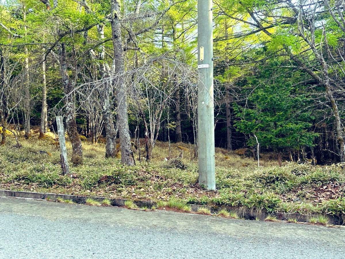 平日温泉紀行 tweet media