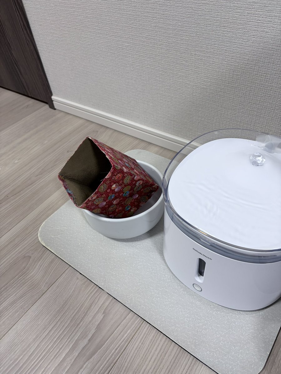 碧と琥珀とヒツジさん tweet media
