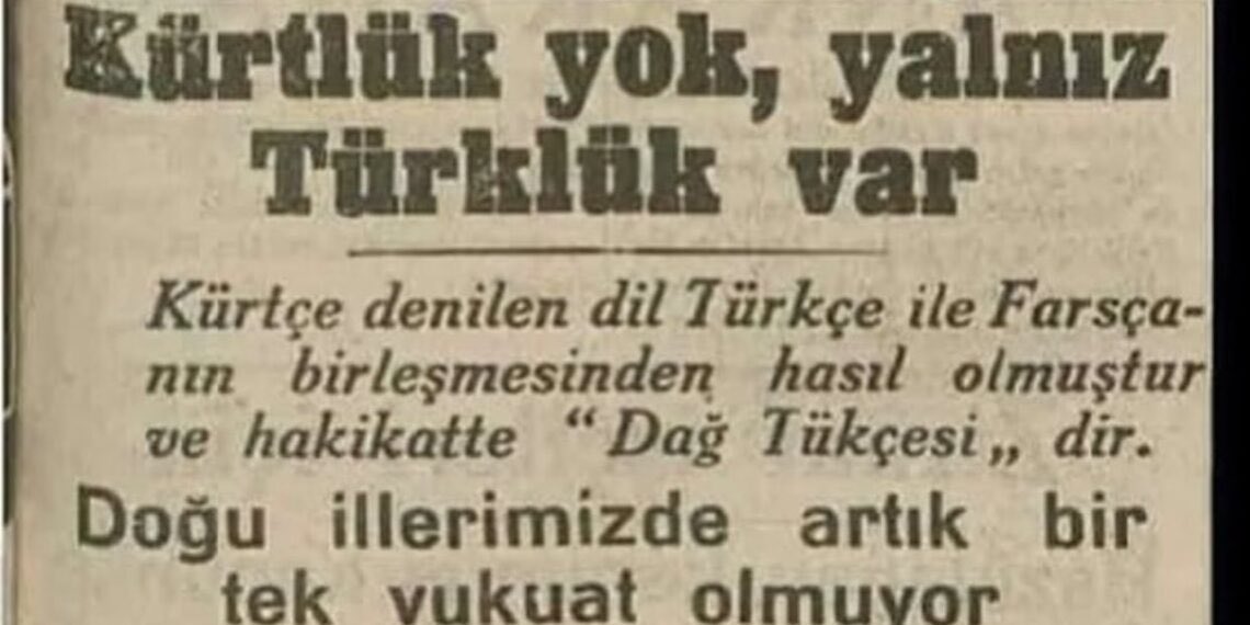 Xoybun tweet media