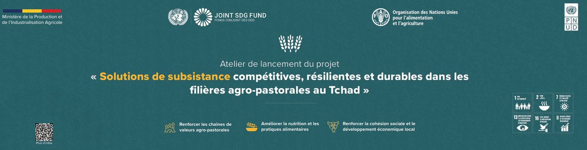 ONU Tchad tweet media