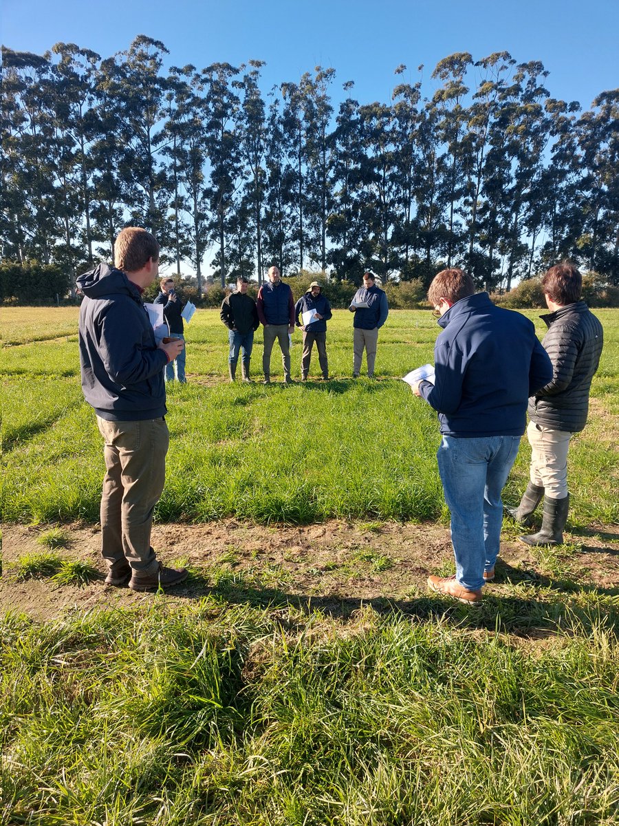 Lolourresta's tweet photo. Con el equipo técnico intercambiado y observando las futuras novedades de raigrás perenne que vendrán a futuro @PGGWrightson_UY https://t.co/pWLMK7G0bK