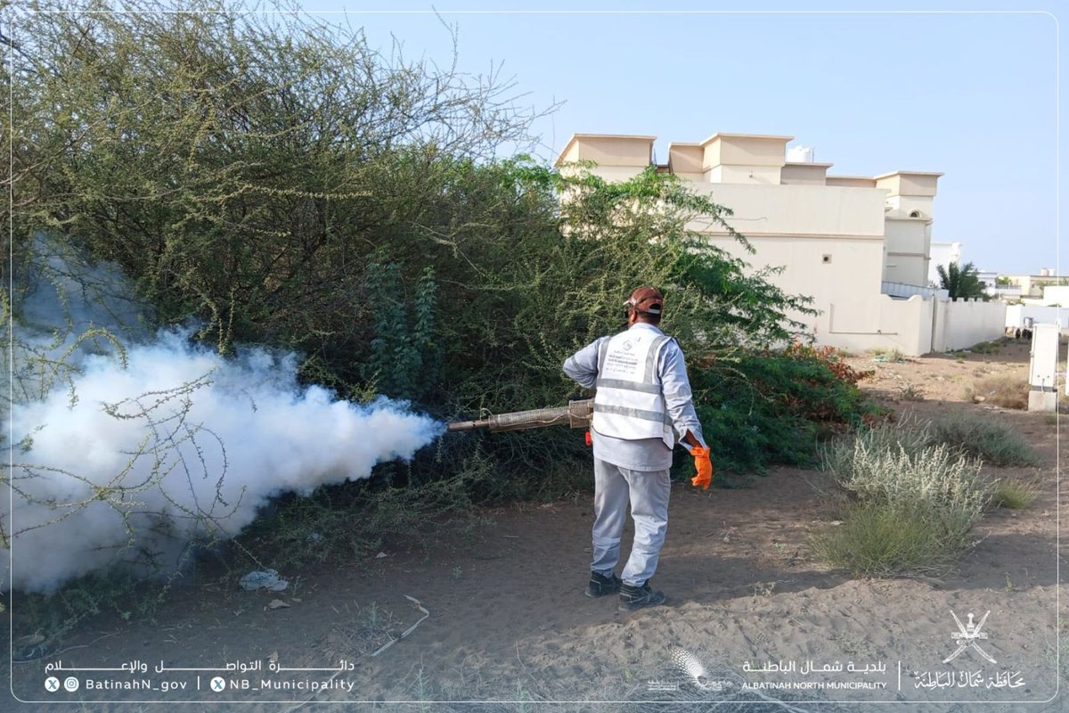 NB_Municipality's tweet photo. تواصل #بلدية_شمال_الباطنة بولاية #السويق أعمال رش الأحياء السكنية باستخدام مكائن التضبيب الحار (الدخان)، وذلك ضمن جهودها في مكافحة الحشرات والآفات وتعزيز الصحة العامة. https://t.co/YQqfisBZYK