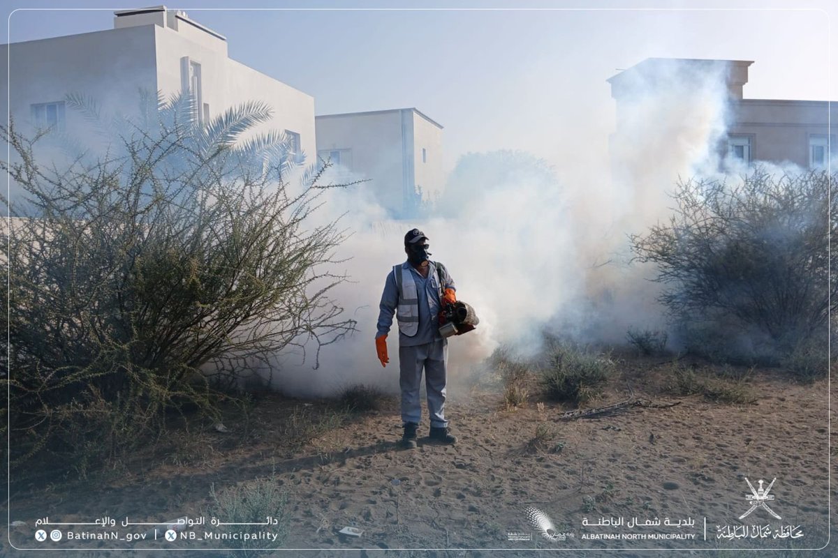 NB_Municipality's tweet photo. تواصل #بلدية_شمال_الباطنة بولاية #السويق أعمال رش الأحياء السكنية باستخدام مكائن التضبيب الحار (الدخان)، وذلك ضمن جهودها في مكافحة الحشرات والآفات وتعزيز الصحة العامة. https://t.co/YQqfisBZYK