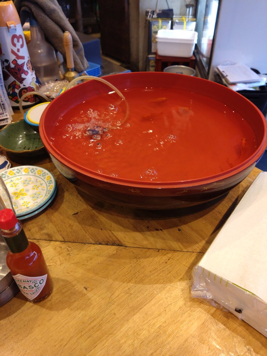 book_tabi's tweet photo. 天満駅前に新たな1円のお店ができたから行ってきた。
立ちで入ったら1円メニューは座席の方だけらしくて
仕方なく通常料金でピザ頼んだ😅
カウンターだと金魚掬い成功でメガハイボールになるらしい🙄
初見だとシステムわかりにくい😂 https://t.co/5kEYhLz6P5