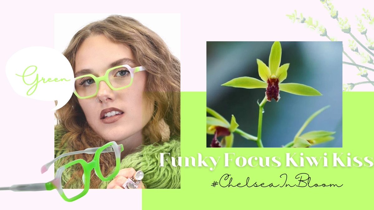 SelectSpecs's tweet photo. “Petal-perfect palettes from Chelsea’s Plant of the Year — paired with SelectSpecs frames to match
#CHELSAFLOWERSHOW2026 #ChelseainBloom #RHSChelseaFlowerShow
#LondonInBloom  #SpringInLondon https://t.co/jcCHPhf0fE