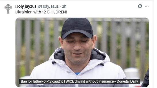 TheIrishWatchdog tweet media