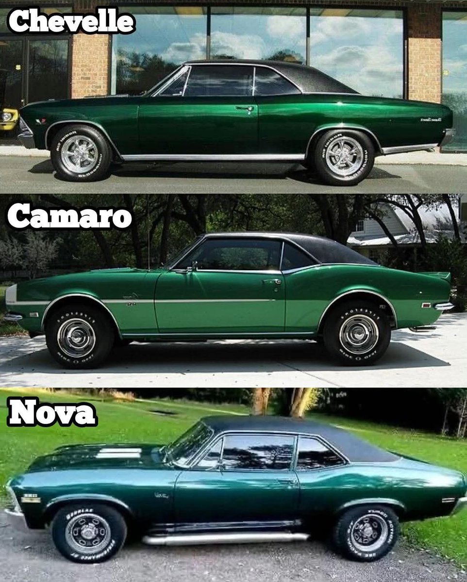 Col2Vintage's tweet photo. What are you choosing 🤔 https://t.co/VjOW2gTIcc