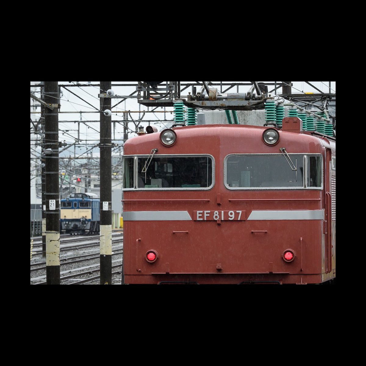 油井 tweet media