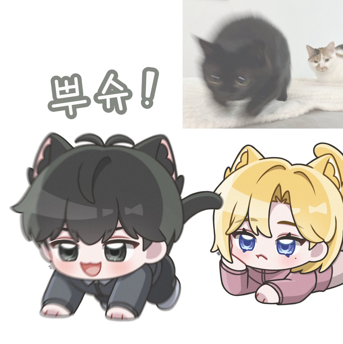 김밐 tweet media