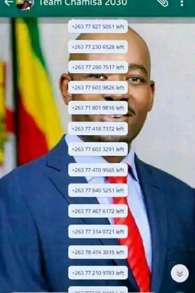 Levison Chambati tweet media