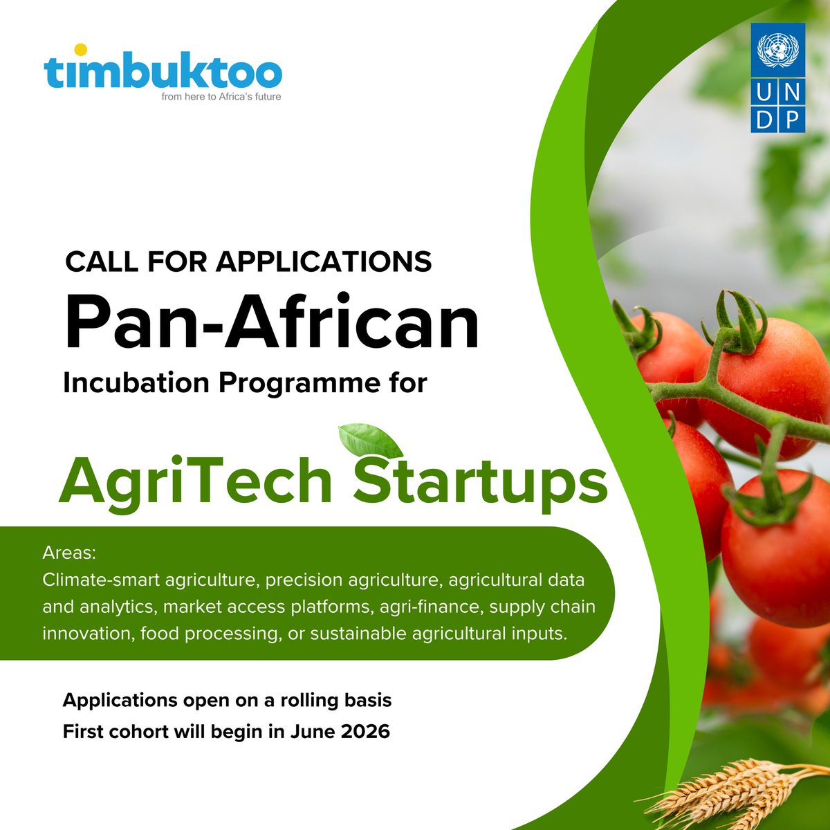 UNDPGhana's tweet photo. Innovation thrives when everyone is included. 🌍

The @timbuktooafrica AgriTech Hub is open to startups across Africa.

Women-led, youth-led, and founders from rural and underserved communities across the continent are strongly encouraged to apply.

🔗 Apply: https://t.co/FZaHcDbwfk

#InclusiveInnovation #AgriTechAfrica #timbuktoo