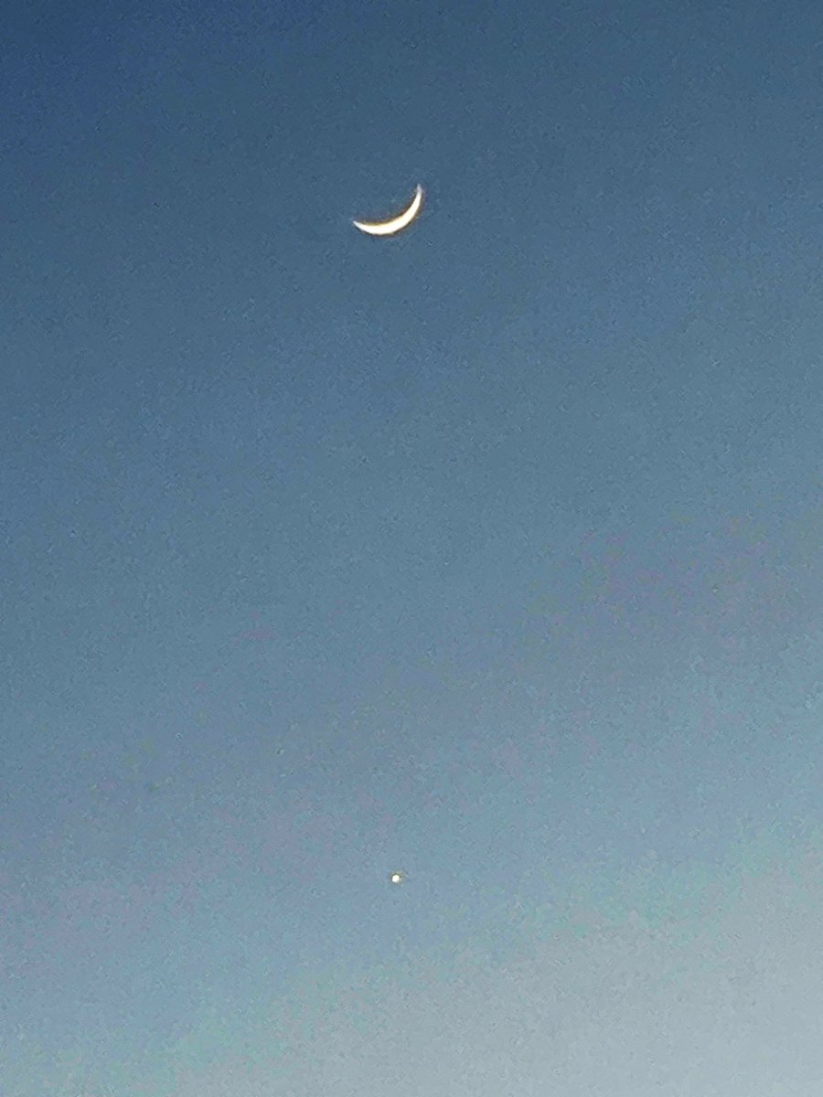 chemameee's tweet photo. 月と金星が合体するんだって！ https://t.co/n8aq4uuWr4