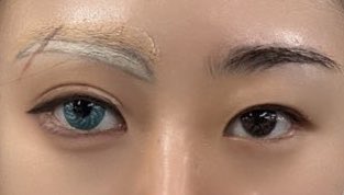 플엑주말양일)모호☾ tweet media