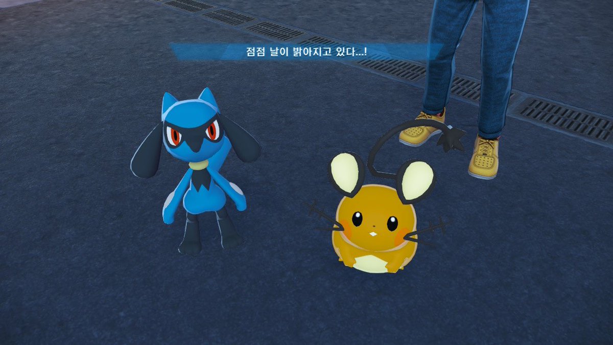 꾸 tweet media
