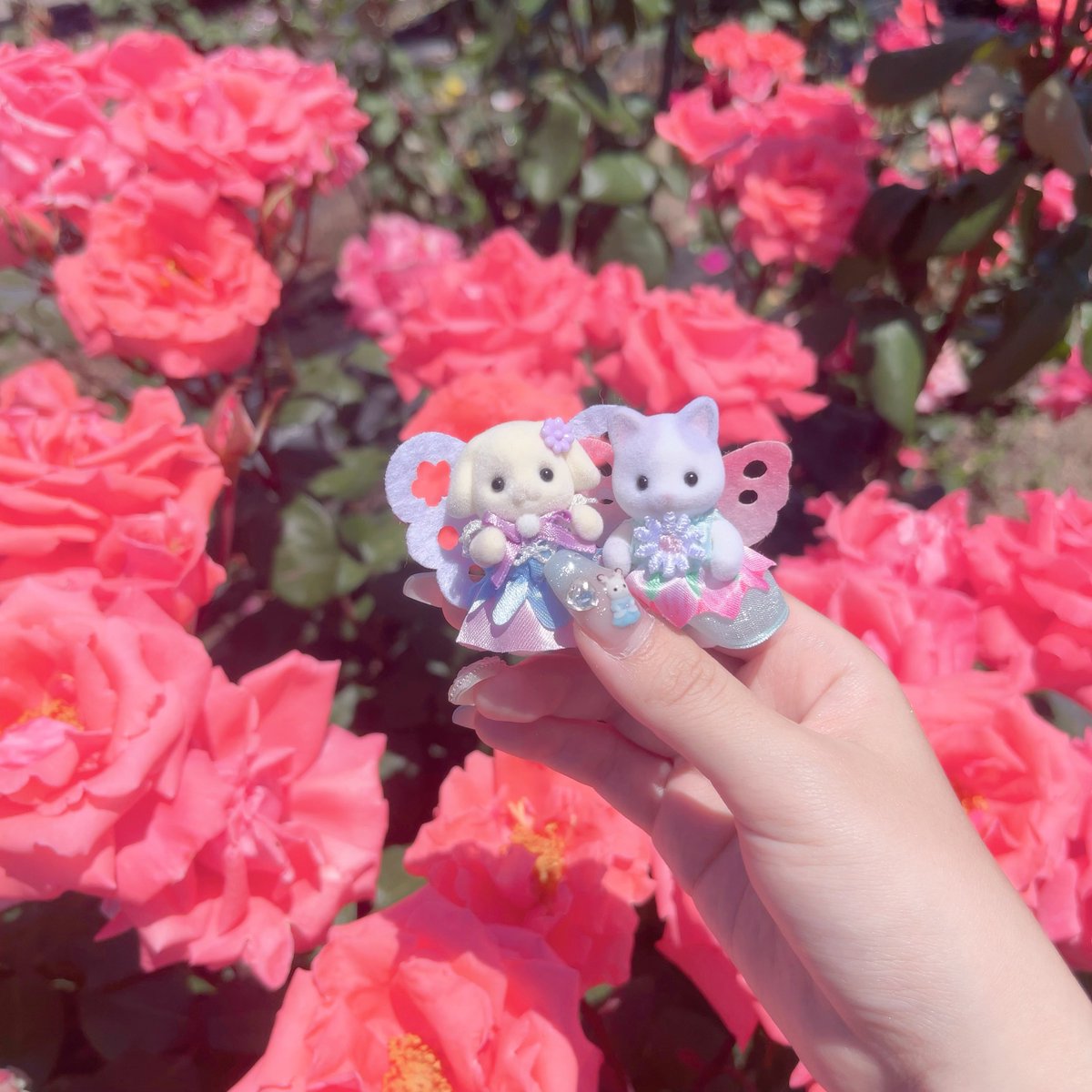 __lilmacaron's tweet photo. サンポート高松にあるバラ園が本当に素晴らしくて…これからシルバニア展行かれる方はぜひ🌹 https://t.co/Q3NnIdtgD4