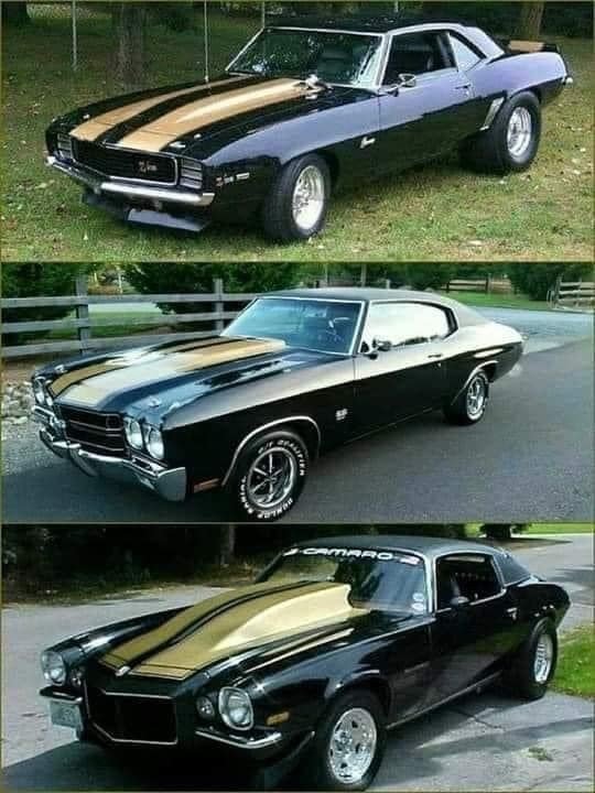 Vintage Cars Collection tweet media