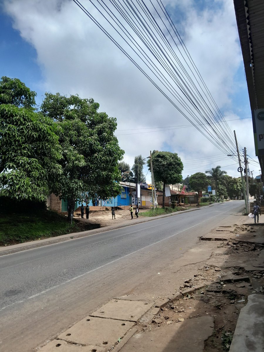 Mutugi Gatobu tweet media