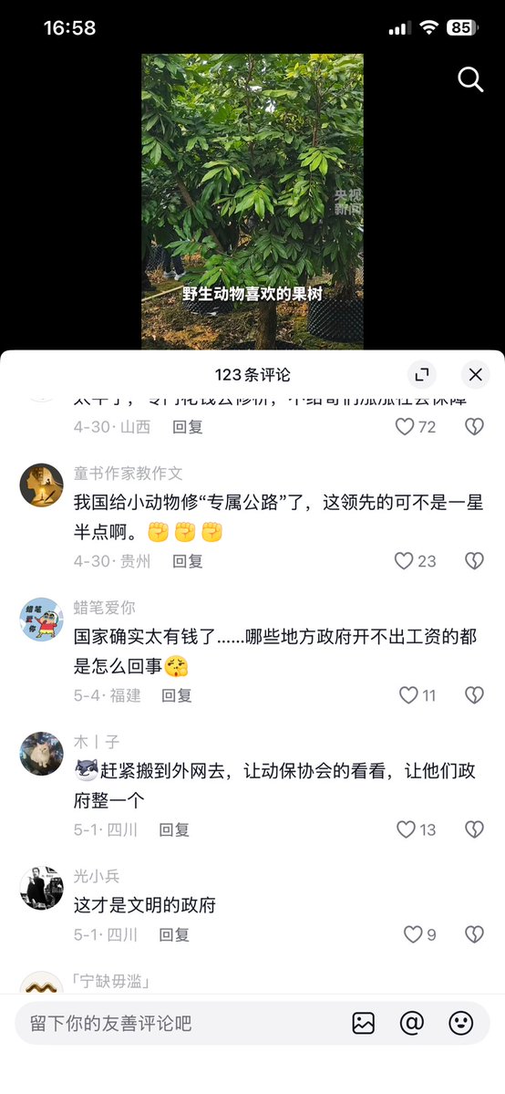 怀特福 tweet media