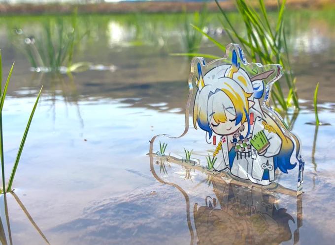 「植えたわ」