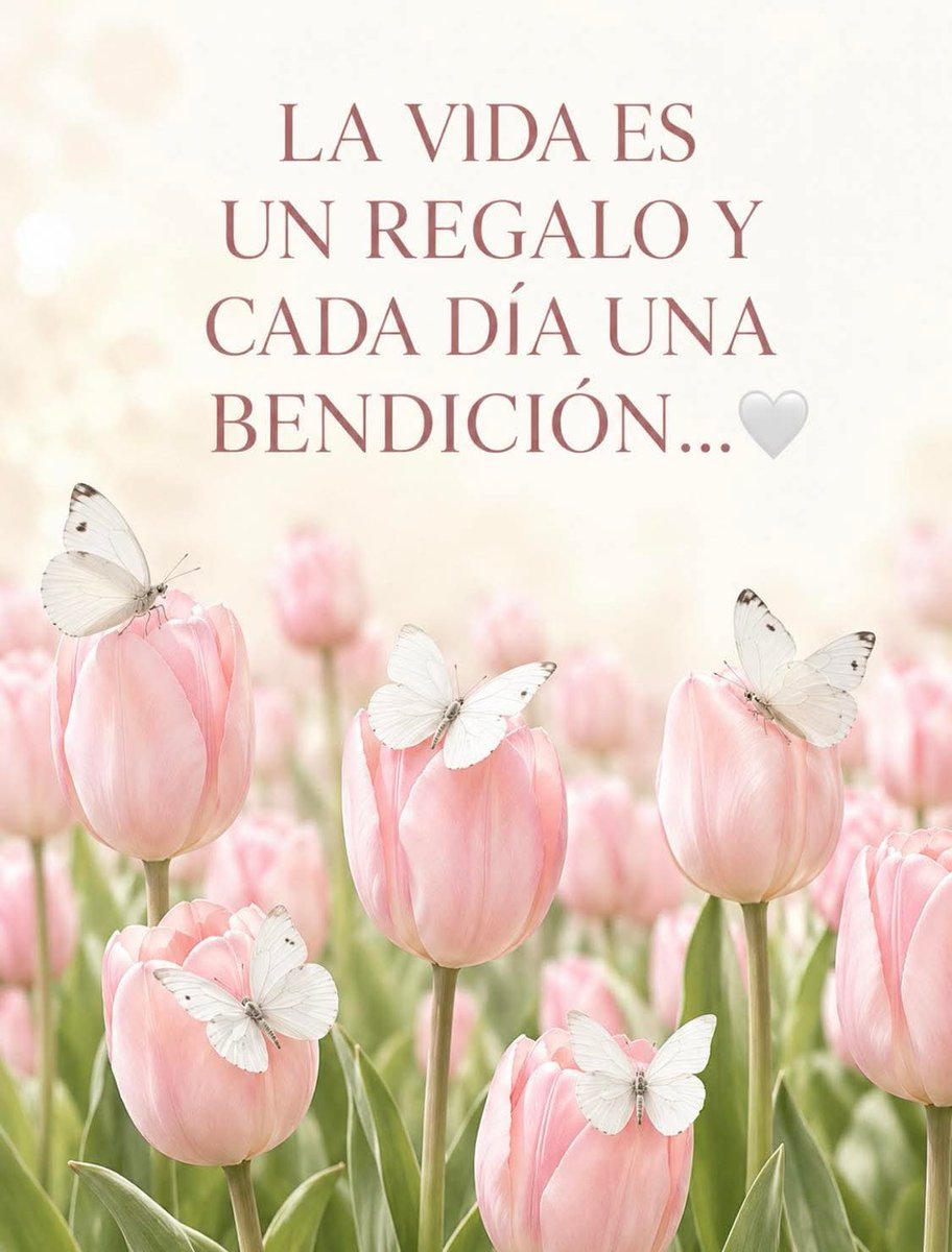 ✨Creo estar soñando✨ tweet media