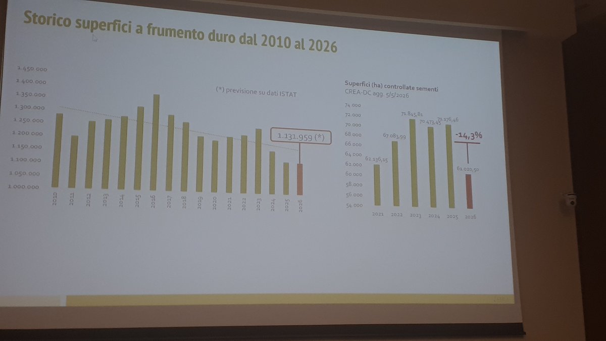 Spiga Dorata tweet media