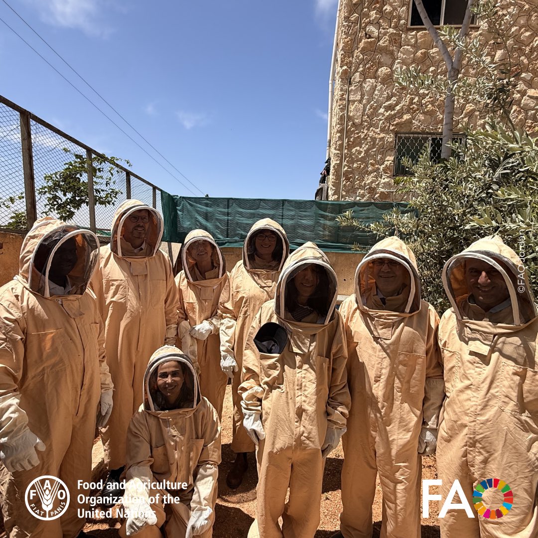 FAO in Jordan tweet media