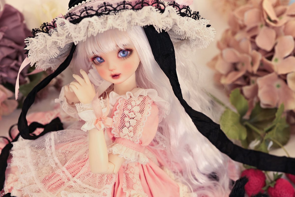 お知らせ・特別展示】 DOLK東京店2F(@dolktokyo)にて 『Azuki