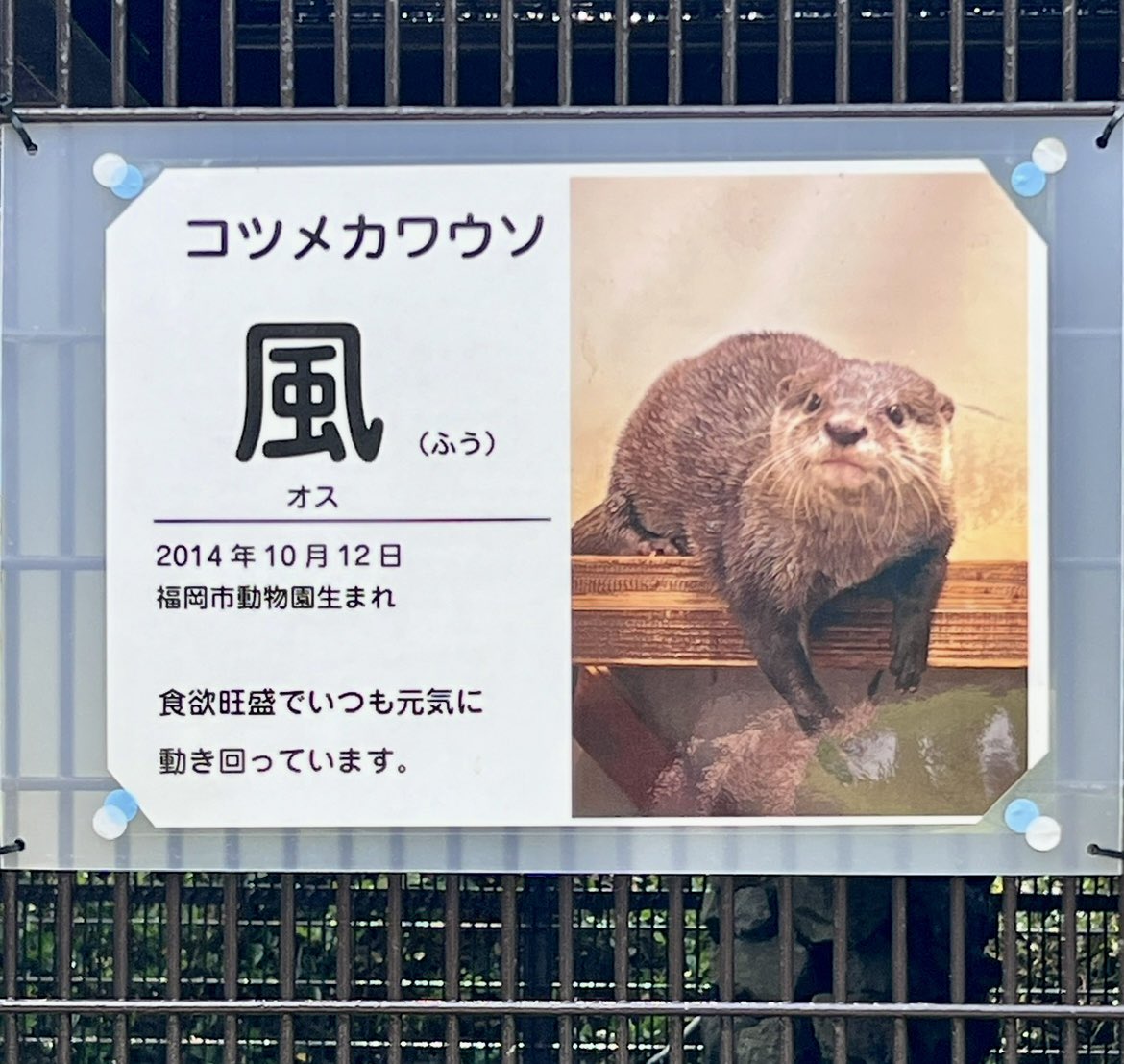 narguuu's tweet photo. https://t.co/TVIeKrRTq6