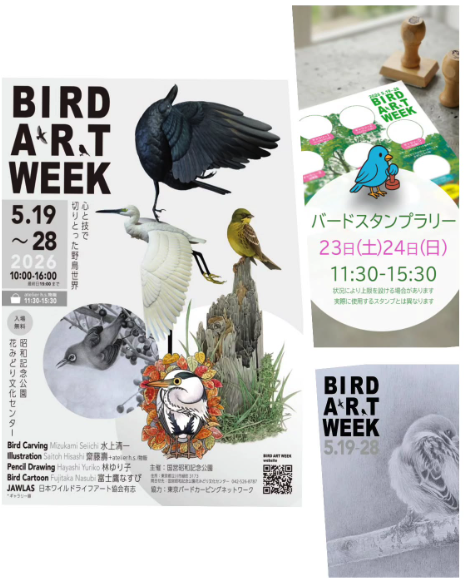 ソライロシュクル tweet media