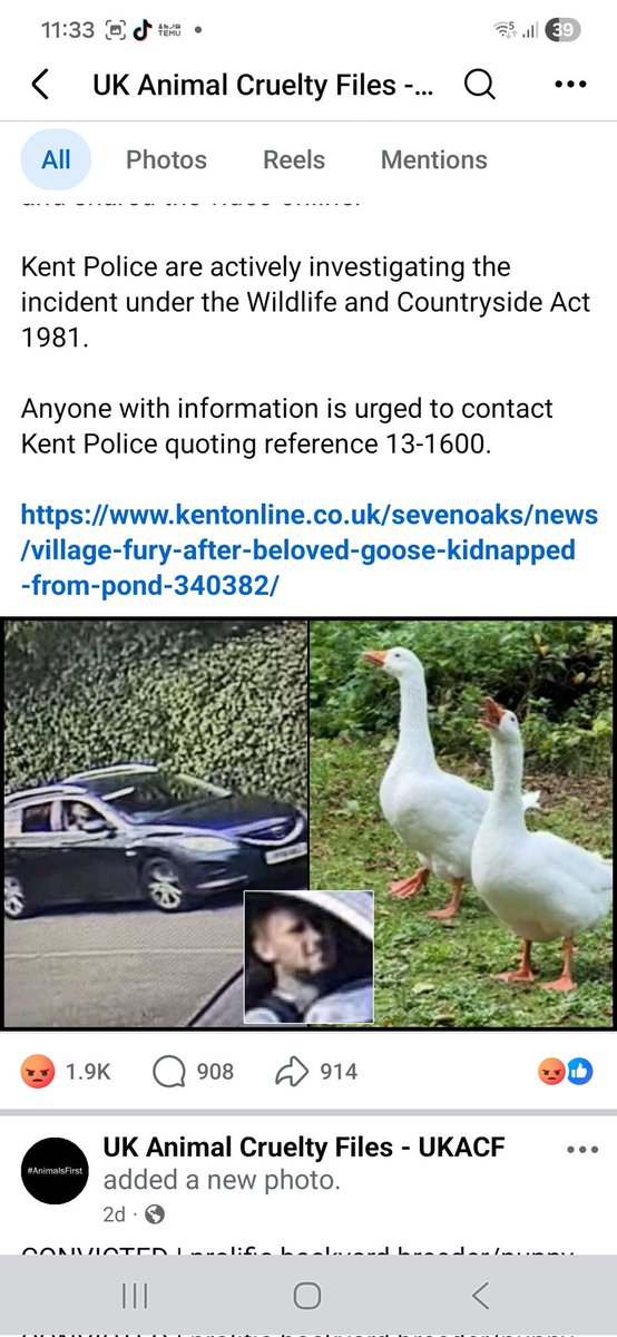 daisyjay95's tweet photo. @Chez_Em @kent_police They have the location wrong where they both live
They live in Tonbridge!!!!! https://t.co/N9ScfjQYeE