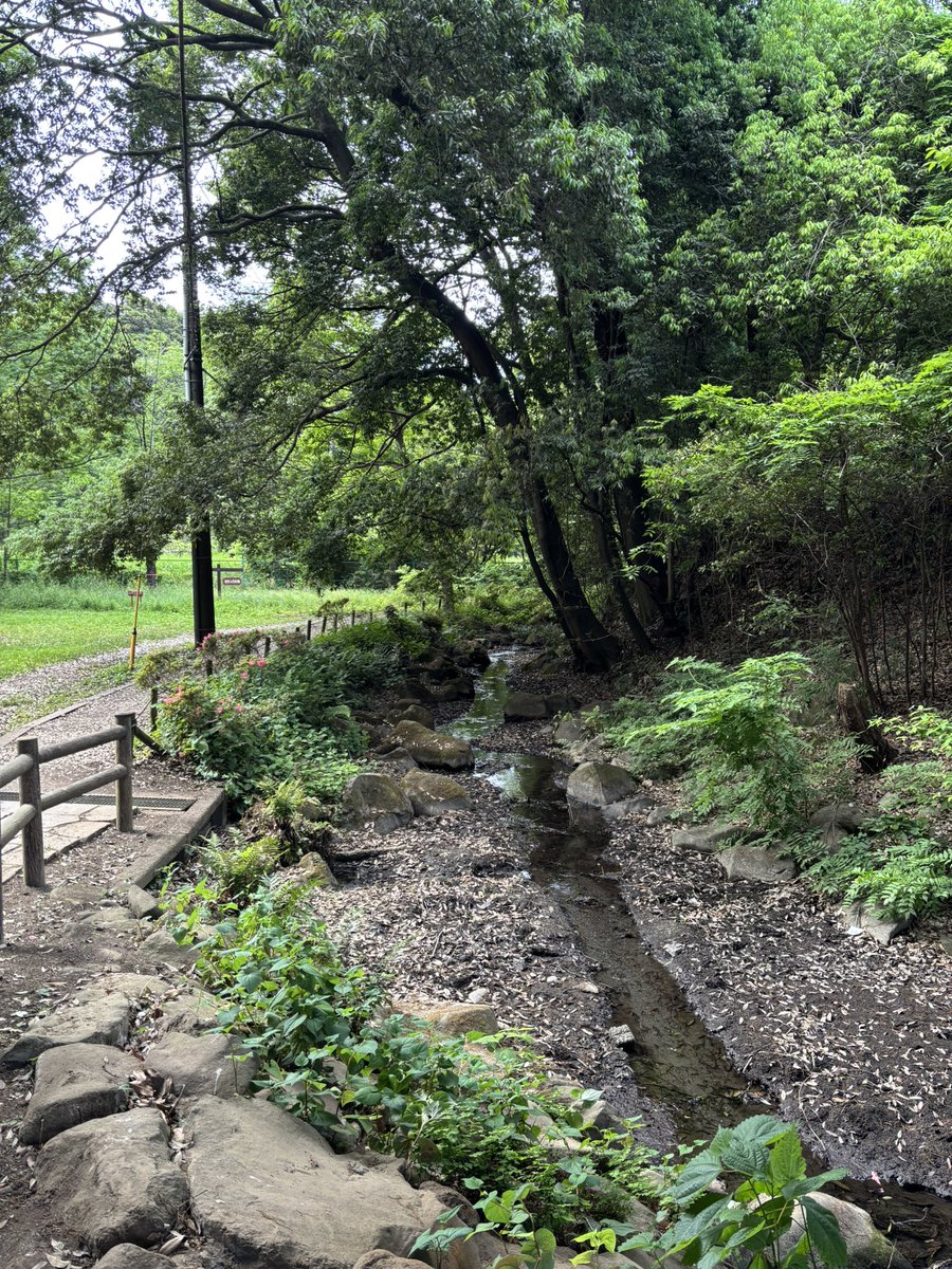 SUEb8bk's tweet photo. 泉の森公園を散策🚶‍♀️✨️

めちゃくちゃ気持ちの良い場所でした(*´꒳`*)🌱✨️

良き良き✨️✨️ https://t.co/IpmYFWghTy