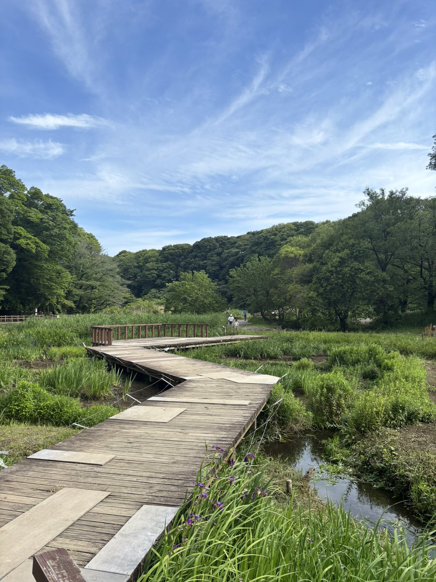 SUEb8bk's tweet photo. 泉の森公園を散策🚶‍♀️✨️

めちゃくちゃ気持ちの良い場所でした(*´꒳`*)🌱✨️

良き良き✨️✨️ https://t.co/IpmYFWghTy