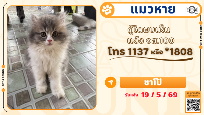 js100radio's tweet photo. #แมวหาย จากหมู่บ้านจรัญวิลล่า3 ซ.จรัญสนิทวงศ์ 37 เขตบางกอกน้อย ผู้ใดพบเห็นแจ้ง JS100 โทร *1808 หรือ 1137

รายละเอียดเพิ่มเติม : https://t.co/396WEhRrP2

#ตามหาแมว #JS100 https://t.co/zB1aMEQRkJ