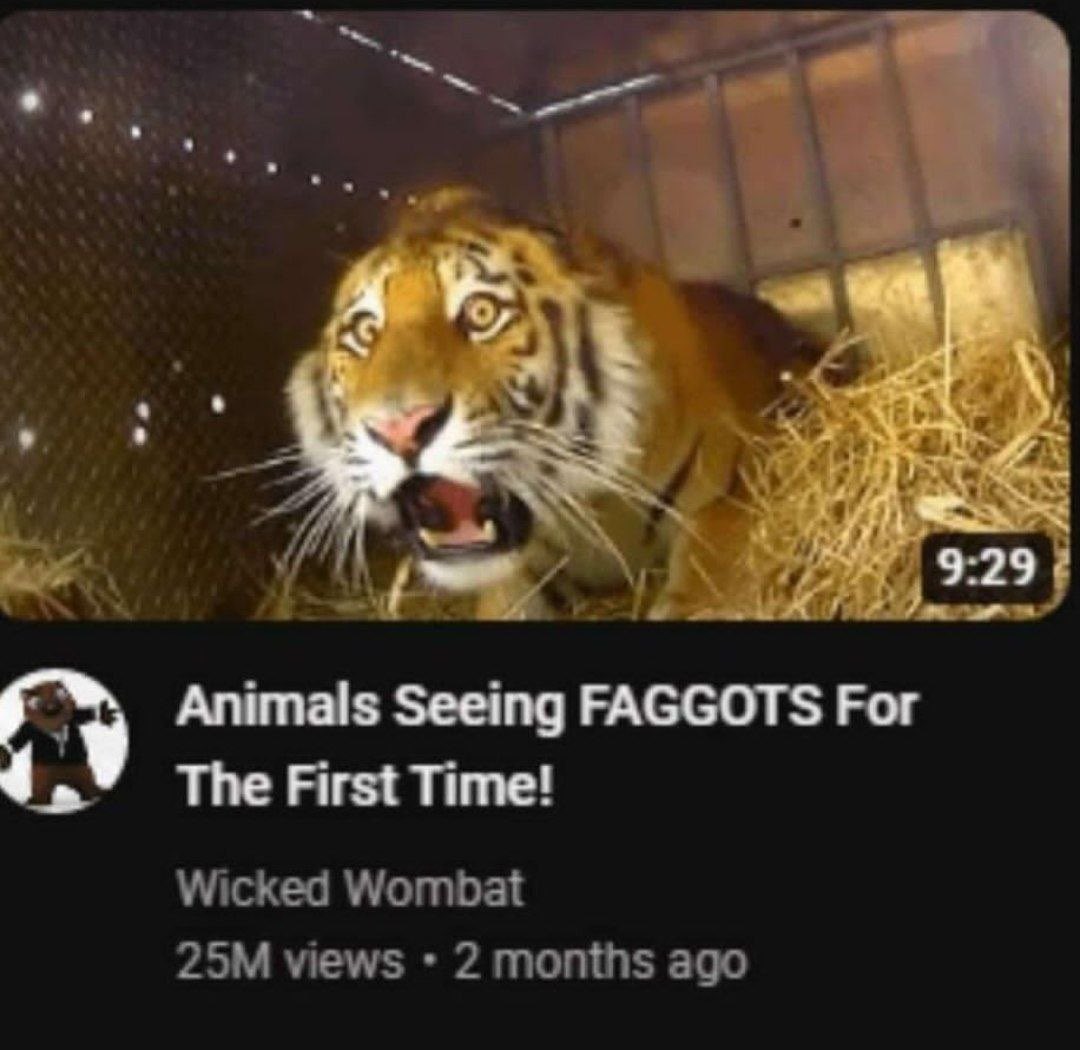 Garbage Human tweet media