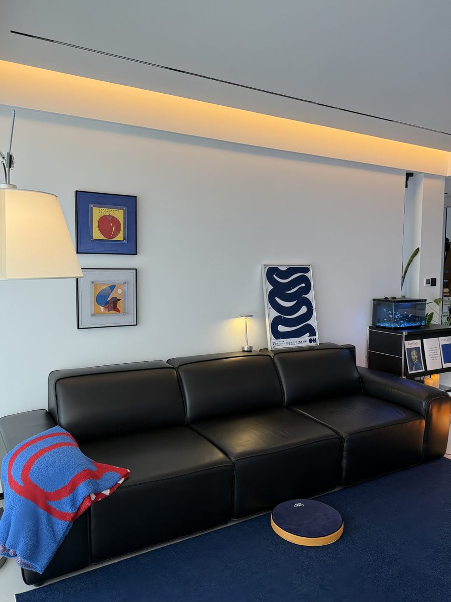 softspaces tweet media