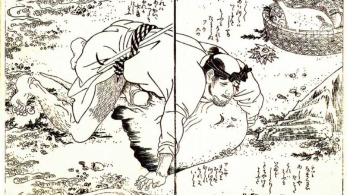 うなぎ人民共和国𓆤 tweet media