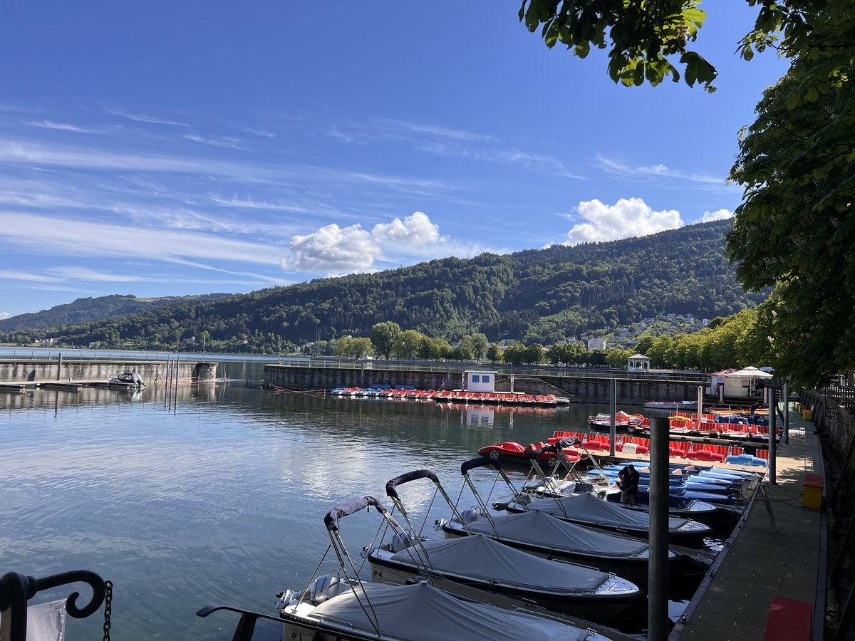 ictl_64's tweet photo. Tarun wins the 10th Bodensee Open in Bregenz, Austria! 🏆

He scored an impressive 7/9 to take first place in a strong field, finishing on top after a solid week of play.

A few highlights, moments, and games from the tournament are shared here:
https://t.co/08vwS6LhBl https://t.co/PO8TNXCG0Z
