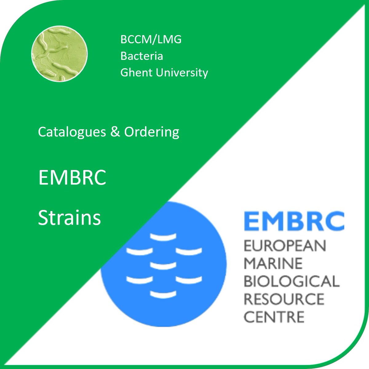 BCCM Collections tweet media