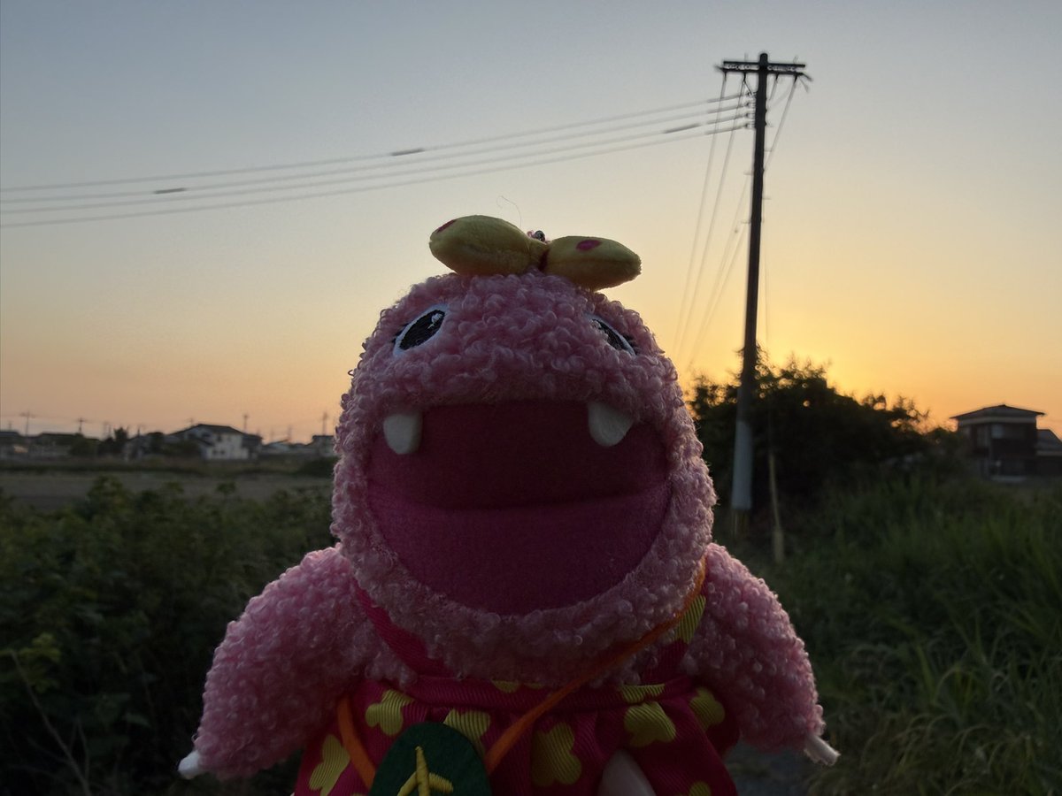 いけいけがんこちゃん tweet media