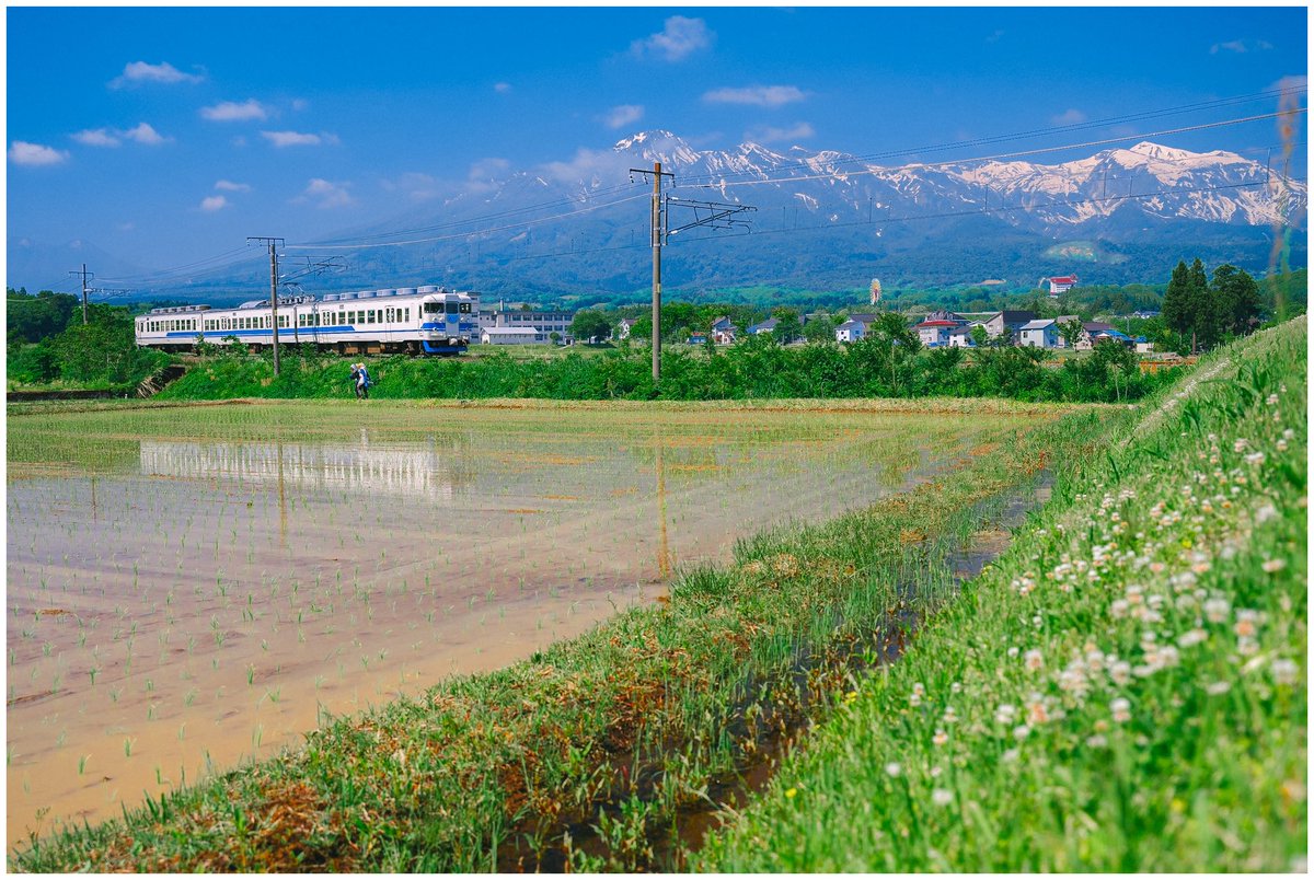 008___800's tweet photo. 413系　北陸色
色鮮やかな季節にぴったりな北陸色 https://t.co/gQNkwJQiJc